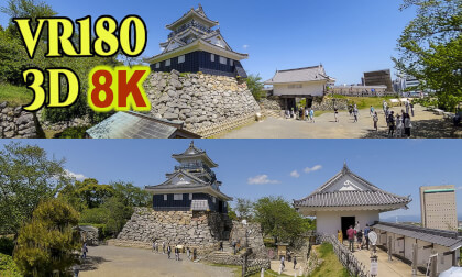 Hamamatsu Castle surrounded by fresh greenery