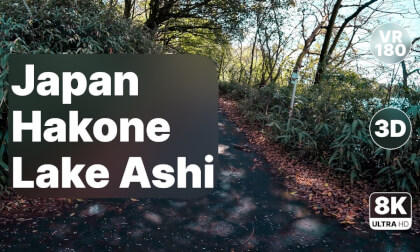 Japan Hakone Lake Ashi - Scenic Lakeside Walk with Relaxing Music 8K 180 3D Japan Hakone Lake Ashi - Scenic Lakeside Walk with Relaxing Music 8K 180 3D
