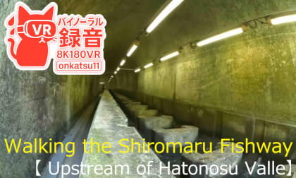 🌊 [VR180 / 8K] Walking the Shiromaru Fishway — Upstream of Hatonosu Valle