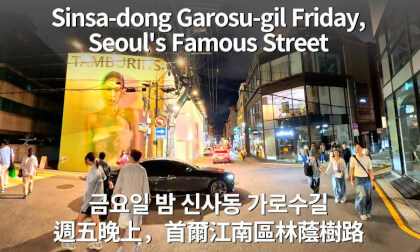 Seoul Korea Travel VR|Gangnam Garosu-gil Famous Street & Local Hotspot Tour Seoul Korea Travel VR|Gangnam Garosu-gil Famous Street & Local Hotspot Tour
