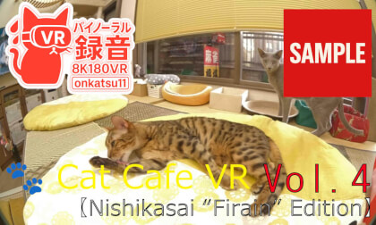 🐾 [8K VR180 & Binaural Audio | Cat Cafe VR — Nishikasai “Firain” Edition]Chapter four‼