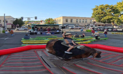 Round up 2025 - Holden 8 year old bull riding Round up 2025 Round up 2025 - Holden 8 year old bull riding Round up 2025