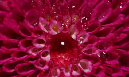 [3D Flatscreen] Wonderful Planets in Macro 3D