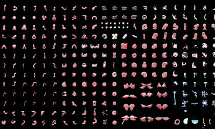 Gene Assets