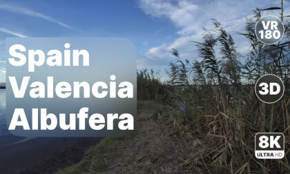 Spain Valencia - Evening Walk in Albufera Wetlands 8K 180 3D VR Video Spain Valencia - Evening Walk in Albufera Wetlands 8K 180 3D VR