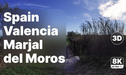 Spain Valencia - Marsh Walk in Marjal del Moros 8K 180 3D Spain Valencia - Marsh Walk in Marjal del Moros 8K 180 3D