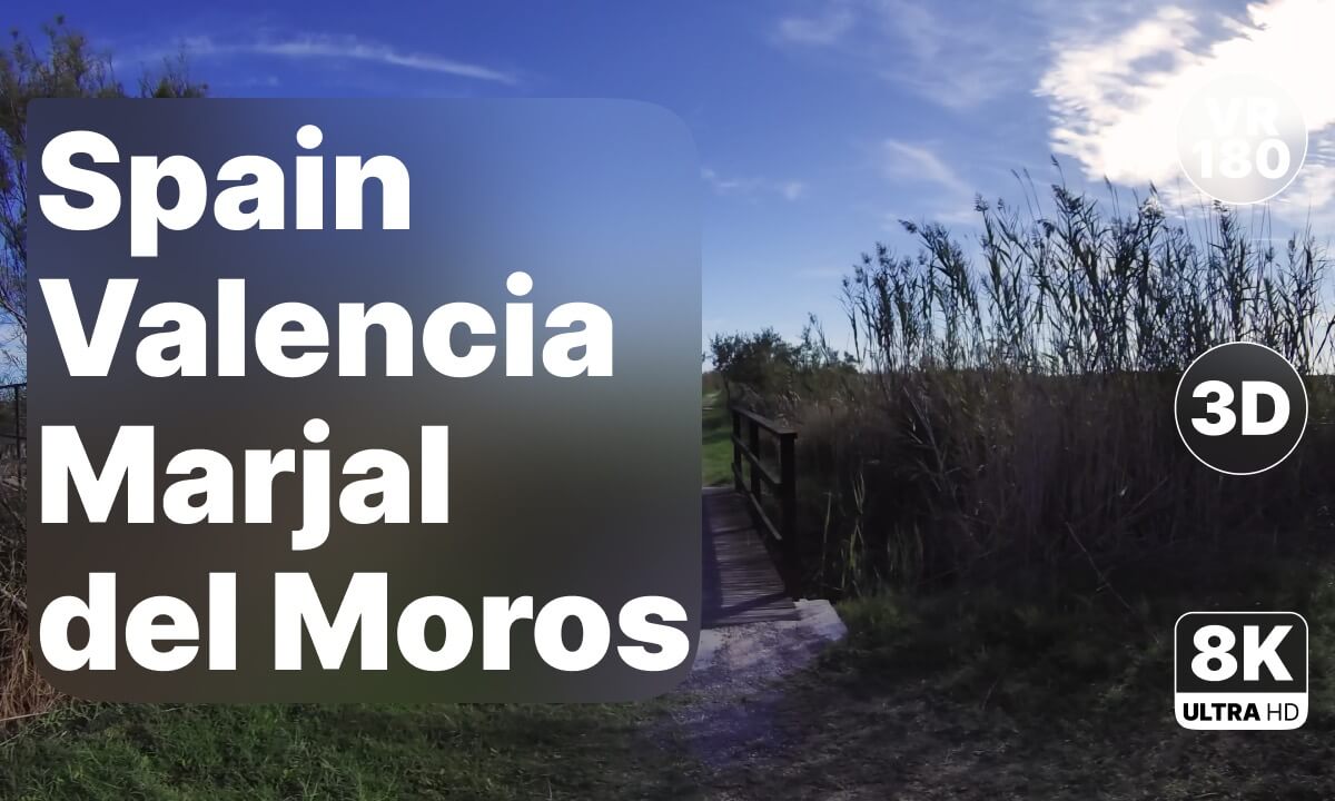 Spain Valencia - Marsh Walk in Marjal del Moros 8K 180 3D