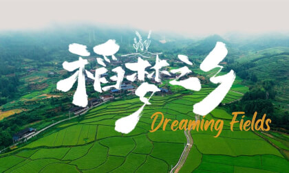8KVR沉浸式形象片《稻梦之乡》Dreaming Fields: An 8K VR180 journey through China’s countryside 8KVR沉浸式形象片《稻梦之乡》Dreaming Fields: An 8K VR180 journey through China’s countryside