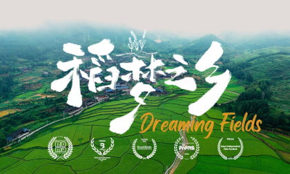 8KVR沉浸式形象片《稻梦之乡》Dreaming Fields: An 8K VR180 journey through China’s countryside