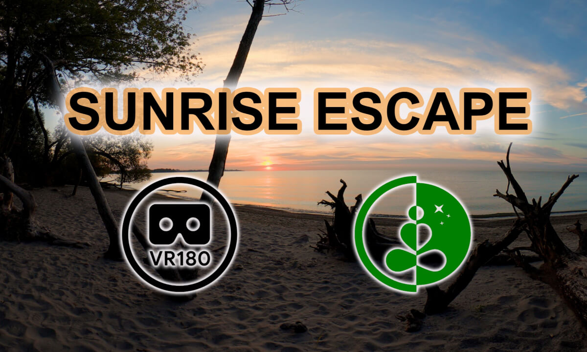 🌅 Sunrise Escape | VR180 Nature Experience | Relaxing Waves & Morning Calm 🌊
