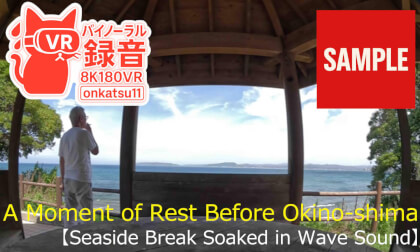 🌊A Moment of Rest Before Okino-shima—Seaside Break Soaked in Wave Sound (8K VR180 & Binaural Audio)
