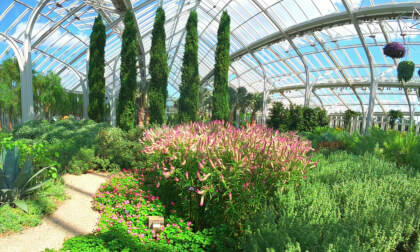 Greenhouse Longwood Gardens 180VR 8K VR Video Greenhouse Longwood Gardens 180VR 8K VR