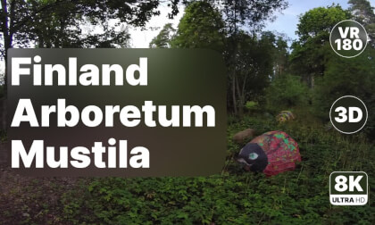 Finland Arboretum Mustila - Forest Walk with Sculptures & Rare Trees 8K 180 3D VR Video Finland Arboretum Mustila - Forest Walk with Sculptures & Rare Trees 8K 180 3D VR