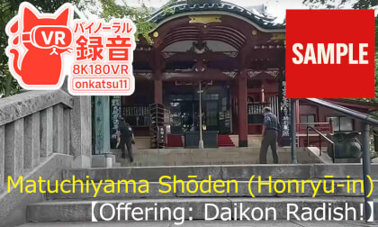 【SAMPLE】🌿【ASAKUSA】Offering: Daikon Radish! A Walk Around the Power Spot Matuchiyama Shōden (Honryū-in) — 8K VR180 & Binaural Audio 🌅