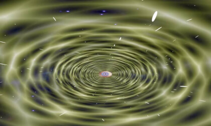 The mind of the universe