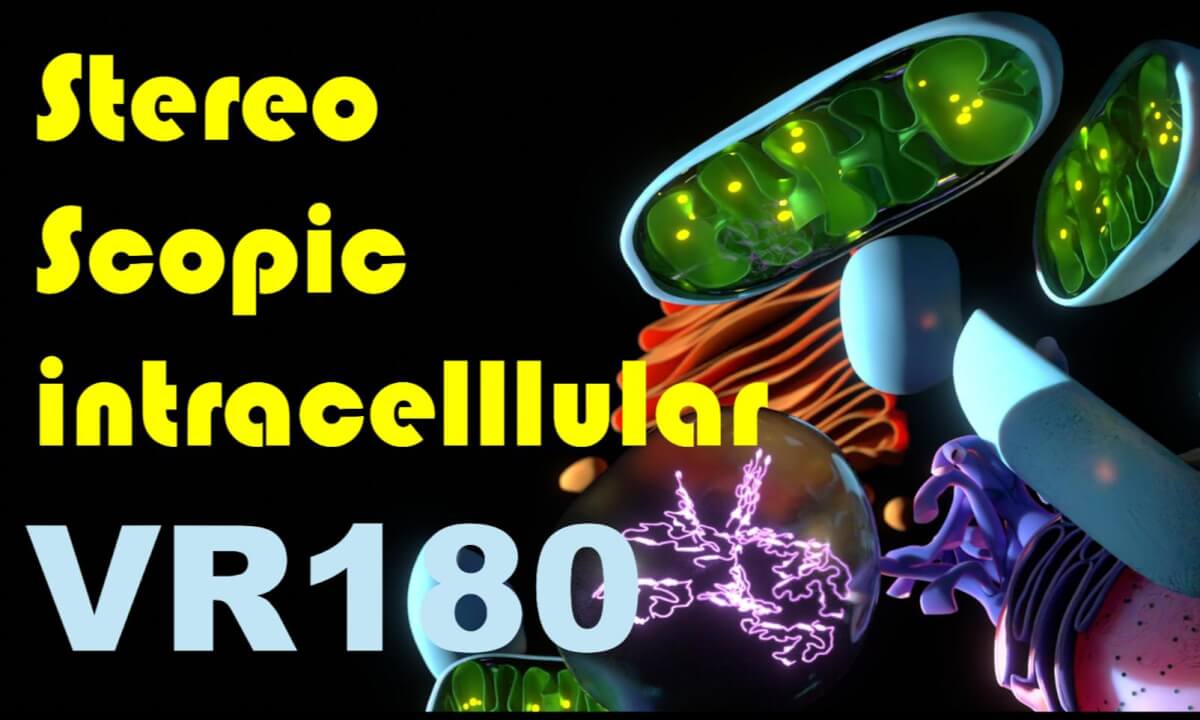 Welcome to the Sci-scopic World – VR without motion sickness. Observe science 3D CG models right in front of your eyes!サイエンススコピックワールド。酔わないVR。眼の前でサイエンス3DCGモデルを観察しよう!