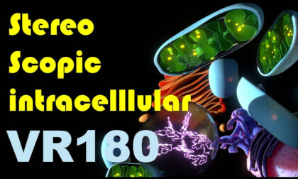 Welcome to the Sci-scopic World – VR without motion sickness. Observe science 3D CG models right in front of your eyes!サイエンススコピックワールド。酔わないVR。眼の前でサイエンス3DCGモデルを観察しよう! Welcome to the Sci-scopic World – VR without motion sickness. Observe science 3D CG models right in front of your eyes!サイエンススコピックワールド。酔わないVR。眼の前でサイエンス3DCGモデルを観察しよう!