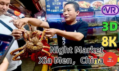 Xiamen 八市 Night Market 🇨🇳 | ASMR Street Food & Local Seafood Feast | China Food Walking Tour 8K