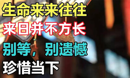 Vita venit et vadit, futura non est longa, noli expectare, noli paenitentiam facere, caritate dona Vita venit et vadit, futura non est longa, noli expectare, noli paenitentiam facere, caritate dona