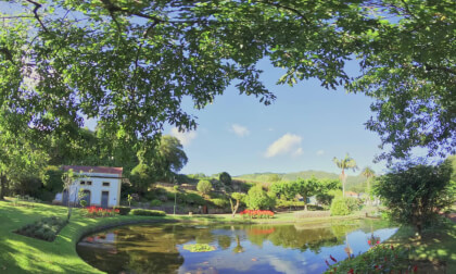 Furnas | São Miguel Furnas | São Miguel