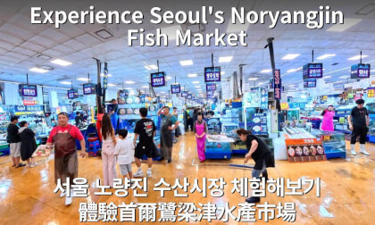 Seoul VR Tour|Korea’s Largest Seafood Market, Noryangjin Fish Market Seoul VR Tour|Korea’s Largest Seafood Market, Noryangjin Fish Market