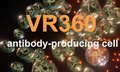 VR360: Swarm of Cells – Plasma Cells Releasing Antibodies VR360 細胞の群れ。形質細胞の抗体放出。 VR Video VR360: Swarm of Cells – Plasma Cells Releasing Antibodies VR360 細胞の群れ。形質細胞の抗体放出。 VR