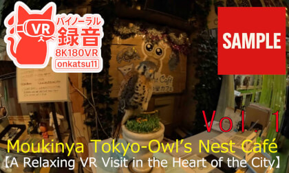 【SAMPLE】🌟【Moukinya Tokyo — Owl’s Nest Cafe: A Relaxing VR Visit in the Heart of the City (8K VR180)】
