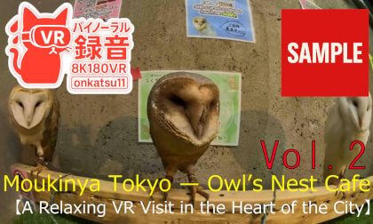 【SAMPLE】🌟【Moukinya Tokyo — Owl’s Nest Cafe: A Relaxing VR Visit in the Heart of the City】Chapter Two‼