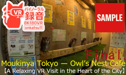 🌟【Moukinya Tokyo — Owl’s Nest Cafe: A Relaxing VR Visit in the Heart of the City】Chapter Tree‼ VR Video 🌟【Moukinya Tokyo — Owl’s Nest Cafe: A Relaxing VR Visit in the Heart of the City】Chapter Tree‼ VR
