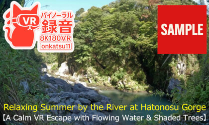 🌊 Relaxing Summer by the River at Hatonosu Gorge — A Calm VR Escape with Flowing Water & Shaded Trees (8K VR180 & Binaural Audio) 🌲