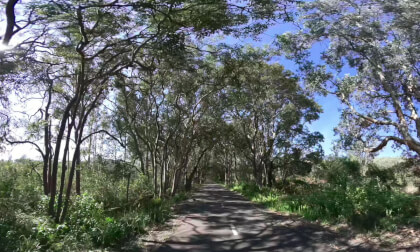 FernleighTrack 3D_180 scooter ride VR Video FernleighTrack 3D_180 scooter ride VR