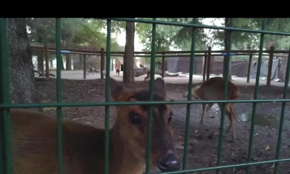 3D SPAIN Faunia Madrid recorrido 3D SPAIN Faunia Madrid recorrido