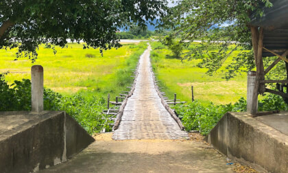 Cầu Tre An Chánh VR Video Cầu Tre An Chánh VR