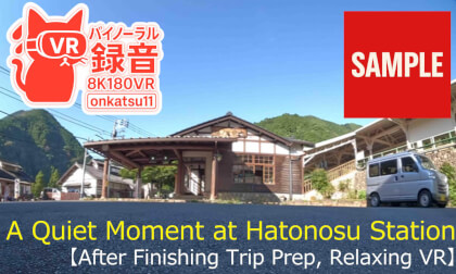 🌅【A Quiet Moment at Hatonosu Station — After Finishing Trip Prep, Relaxing VR (8K VR180 & Binaural Audio)】🌿