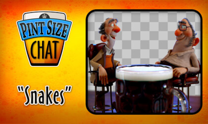 SNAKES?! Pint Size Chat. (Alpha pass-through) VR Video SNAKES?! Pint Size Chat. (Alpha pass-through) VR