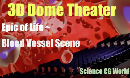 3D Science Dome Theater Epic of Life ~ Blood Vessel Scene ドームシアターをVRで。血管編 3D Science Dome Theater Epic of Life ~ Blood Vessel Scene ドームシアターをVRで。血管編
