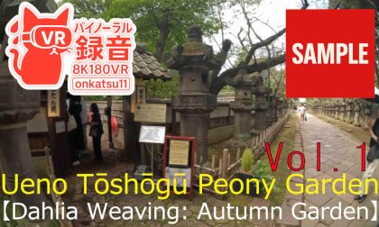 【SAMPLE】🌸 Ueno Tōshōgū Peony Garden — “Dahlia Weaving: Autumn Garden” (8K VR180 & Binaural Audio) 🌿Chapter One‼