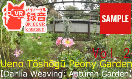 🌸 Ueno Tōshōgū Peony Garden—“Dahlia Weaving: Autumn Garden” (8K VR180 & Binaural Audio) Chapter Two‼