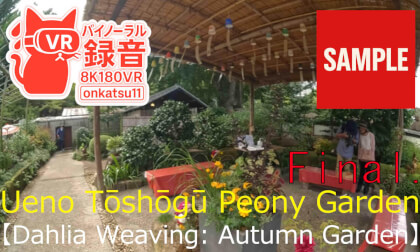【SAMPLE】🌸 Ueno Tōshōgū Peony Garden — “Dahlia Weaving: Autumn Garden” (8K VR180) Chapter Final‼