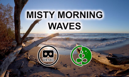MISTY MORNING WAVES | VR180 Relaxation Video VR Video MISTY MORNING WAVES | VR180 Relaxation Video VR