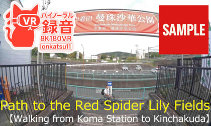【SAMPLE】🌺 Walking from Koma Station to Kinchakuda — Path to the Red Spider Lily Fields (8K VR180)