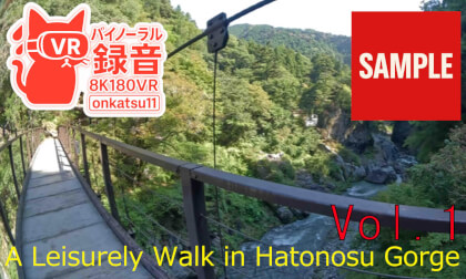 【SAMPLE】🌲【A Leisurely Walk in Hatonosu Gorge — Chapter 1 (8K VR180 & Binaural Audio)】🌊