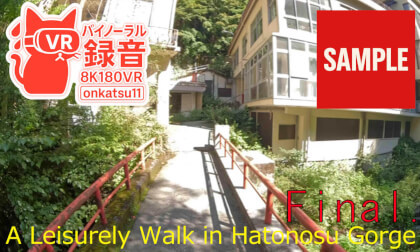 【SAMPLE】🌲【A Leisurely Walk in Hatonosu Gorge — Chapter Final (8K VR180 & Binaural Audio)】🌊