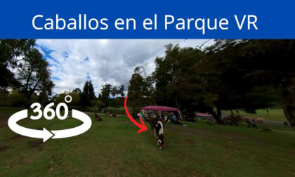 Caballos en el parque – 28 segundos en VR 360° Caballos en el parque – 28 segundos en VR 360°