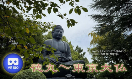 Tokumaru ~ Tokyo Daibutsu Tokumaru ~ Tokyo Daibutsu