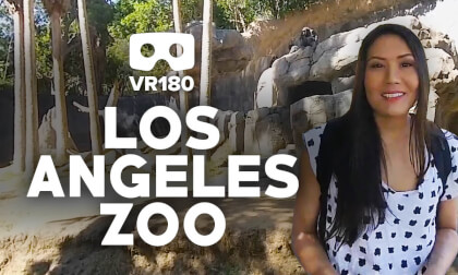 The Los Angeles Zoo Tour VR Video The Los Angeles Zoo Tour VR