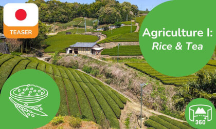 Japanese Agriculture I | 360 8K3D Teaser | Learn Japanese in VR | DYNAMIC LANGUAGES Japanese Agriculture I | 360 8K3D Teaser | Learn Japanese in VR | DYNAMIC LANGUAGES