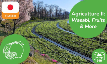 Japanese Agriculture II | 360 8K3D Teaser | Learn Japanese in VR | DYNAMIC LANGUAGES Japanese Agriculture II | 360 8K3D Teaser | Learn Japanese in VR | DYNAMIC LANGUAGES