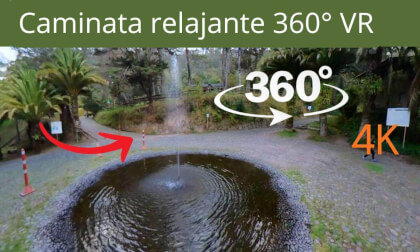 Respira QUITO experiencia PREMIUM  VR 360° entre árboles en el Parque de Guápulo🧐 Respira QUITO experiencia PREMIUM  VR 360° entre árboles en el Parque de Guápulo🧐