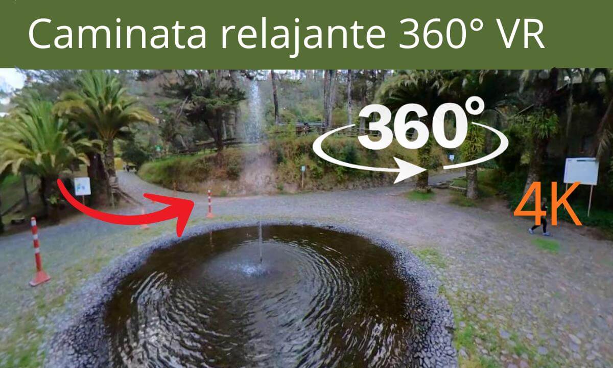 Respira QUITO experiencia PREMIUM VR 360° entre árboles en el Parque de Guápulo🧐